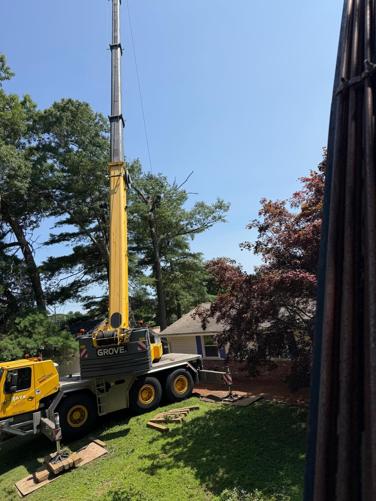 Tree Trimming & Pruning by Oak Tree Master in MetroWest Massachusetts
