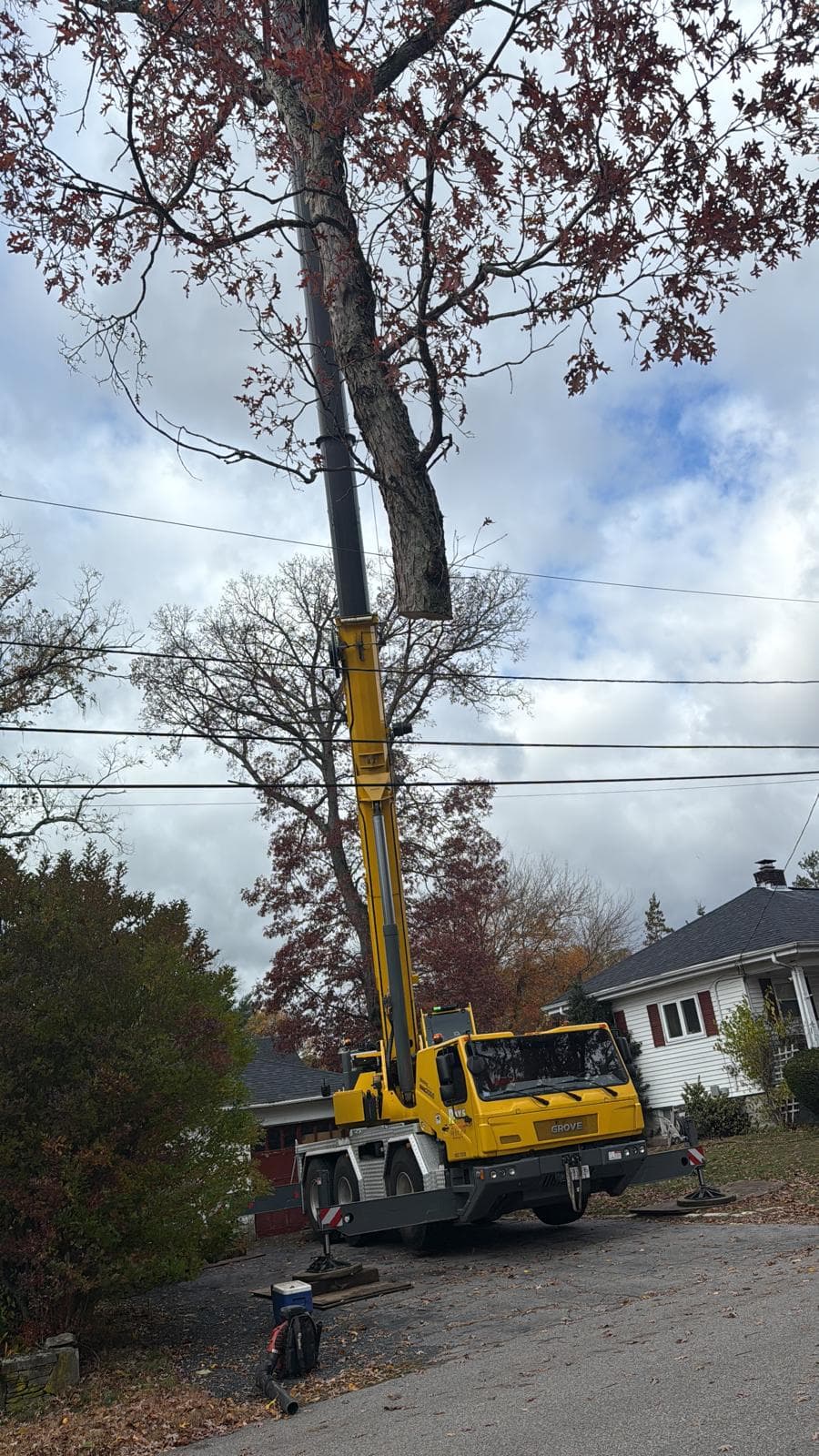 Grove crane lifting a large oak section during a careful residential removal by Oak Tree Master